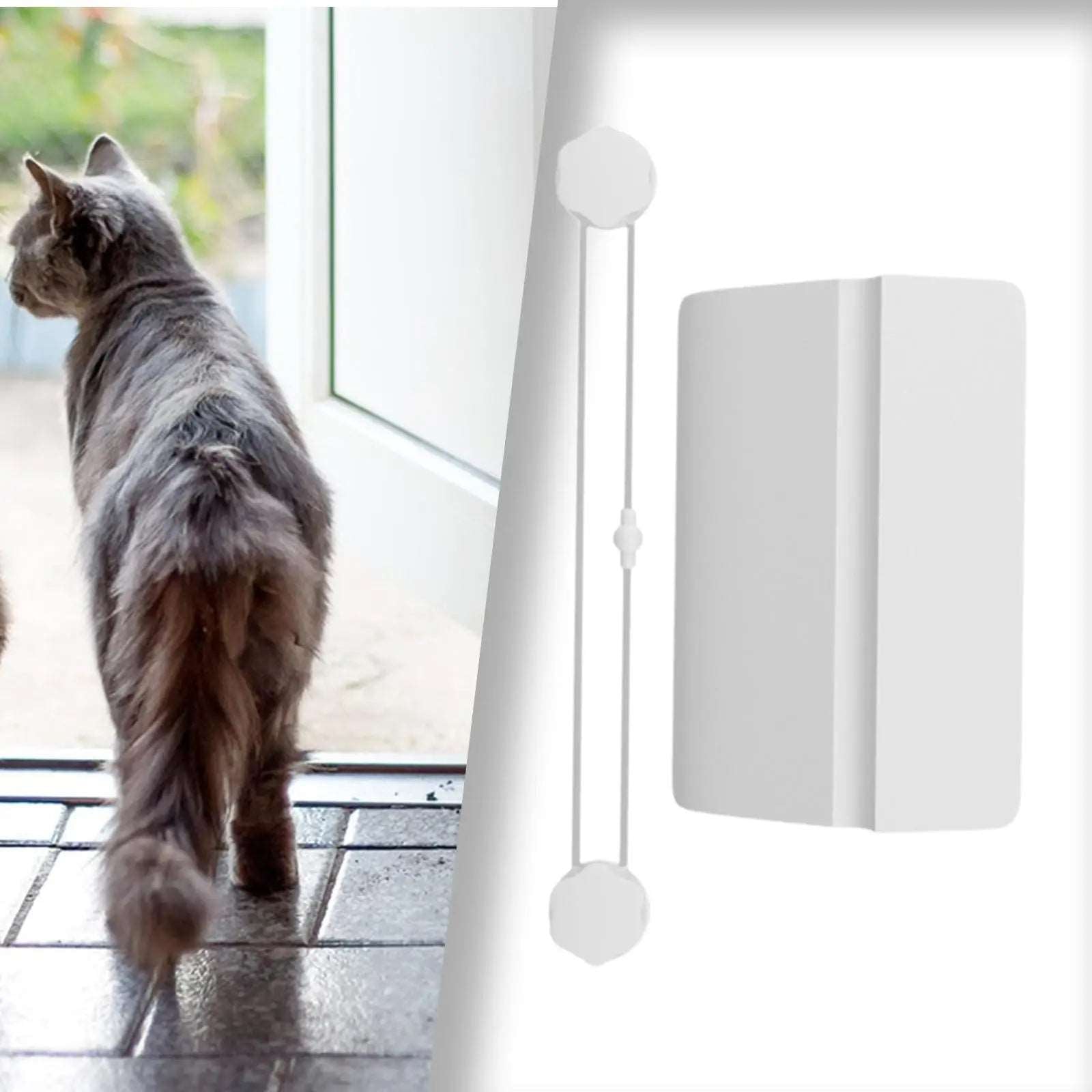 Automatic cat door opener best sale