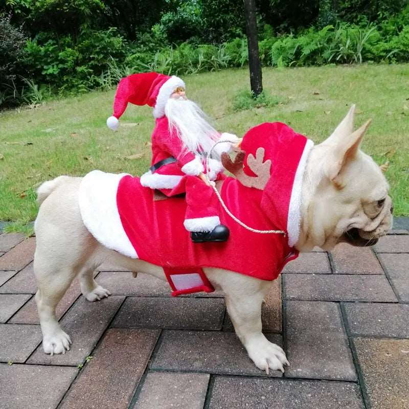 Christmas Dog Apparel