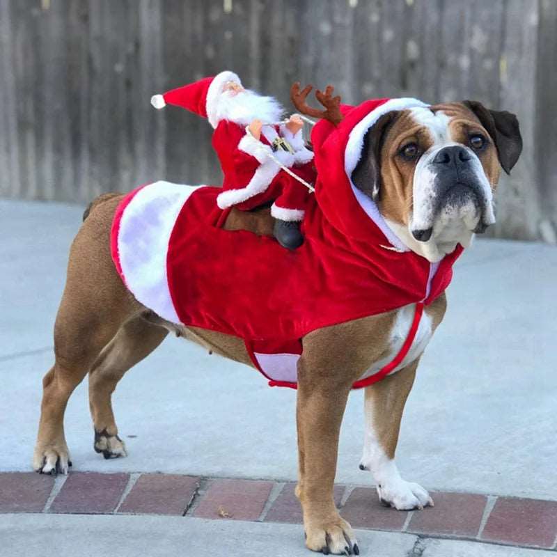 Christmas Dog Apparel