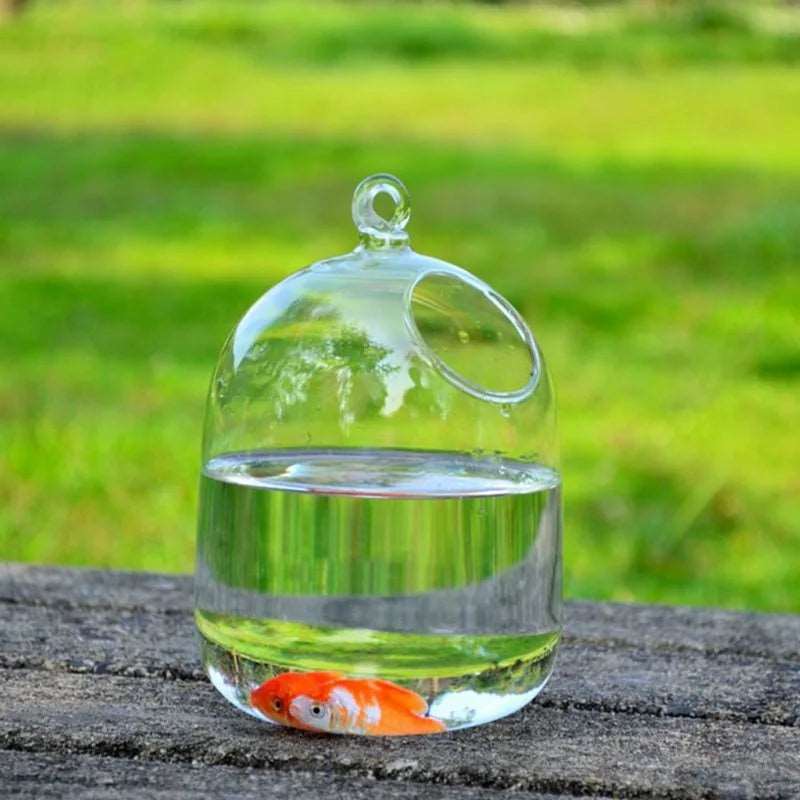 Hanging Fish Bowl Tank