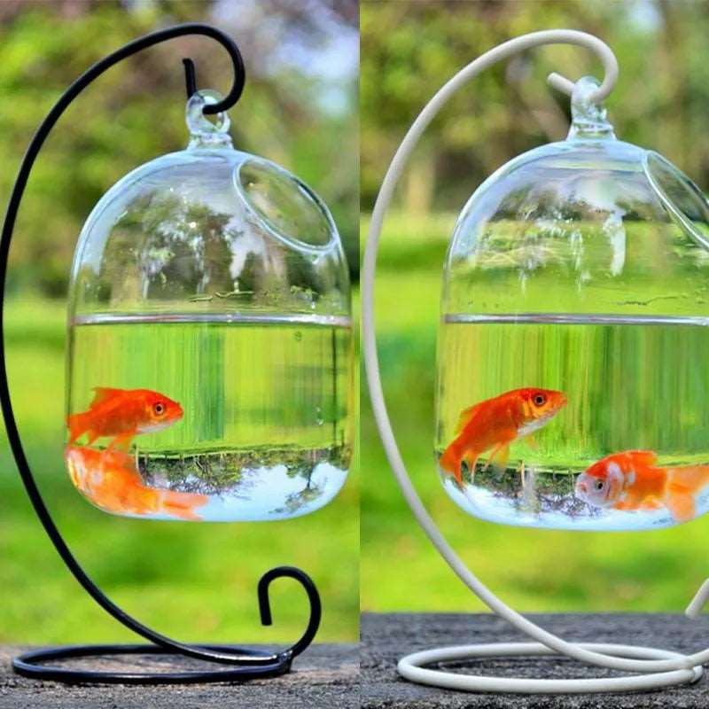 Hanging Fish Bowl Tank