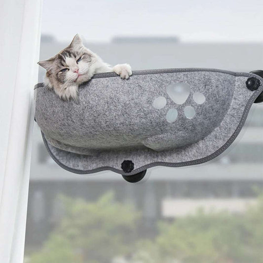 Cat Window Sleeping Bed