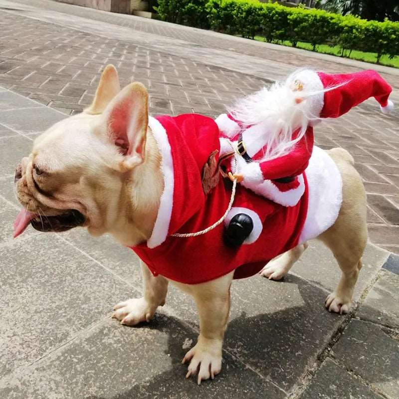 Christmas Dog Apparel