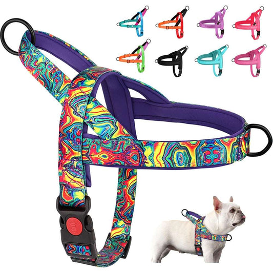 Padded Pet Walking Vests