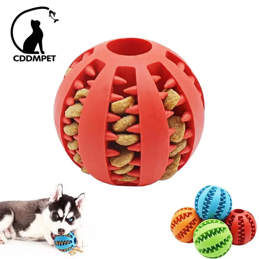 Food Ball Toy