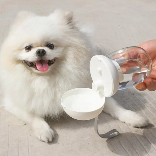 Pet Water Bottle