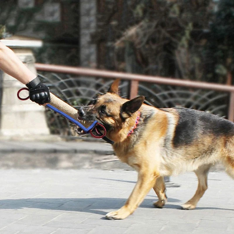 dog chew pillows