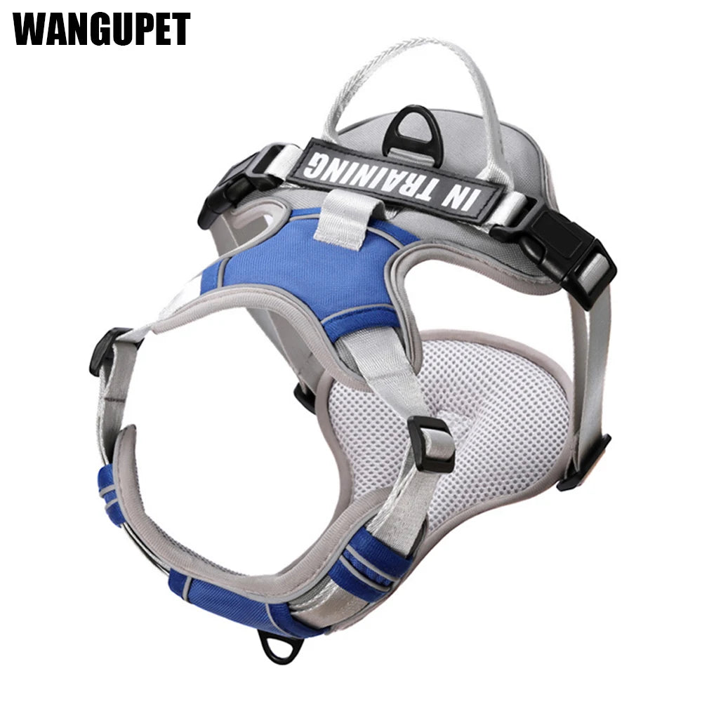 Outdoor Dog Harness