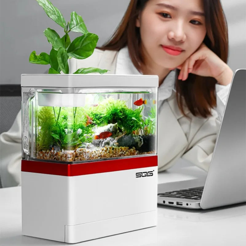 mini fish tank