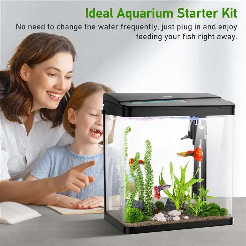 Glass Aquarium 3 In 1 Fish Tank