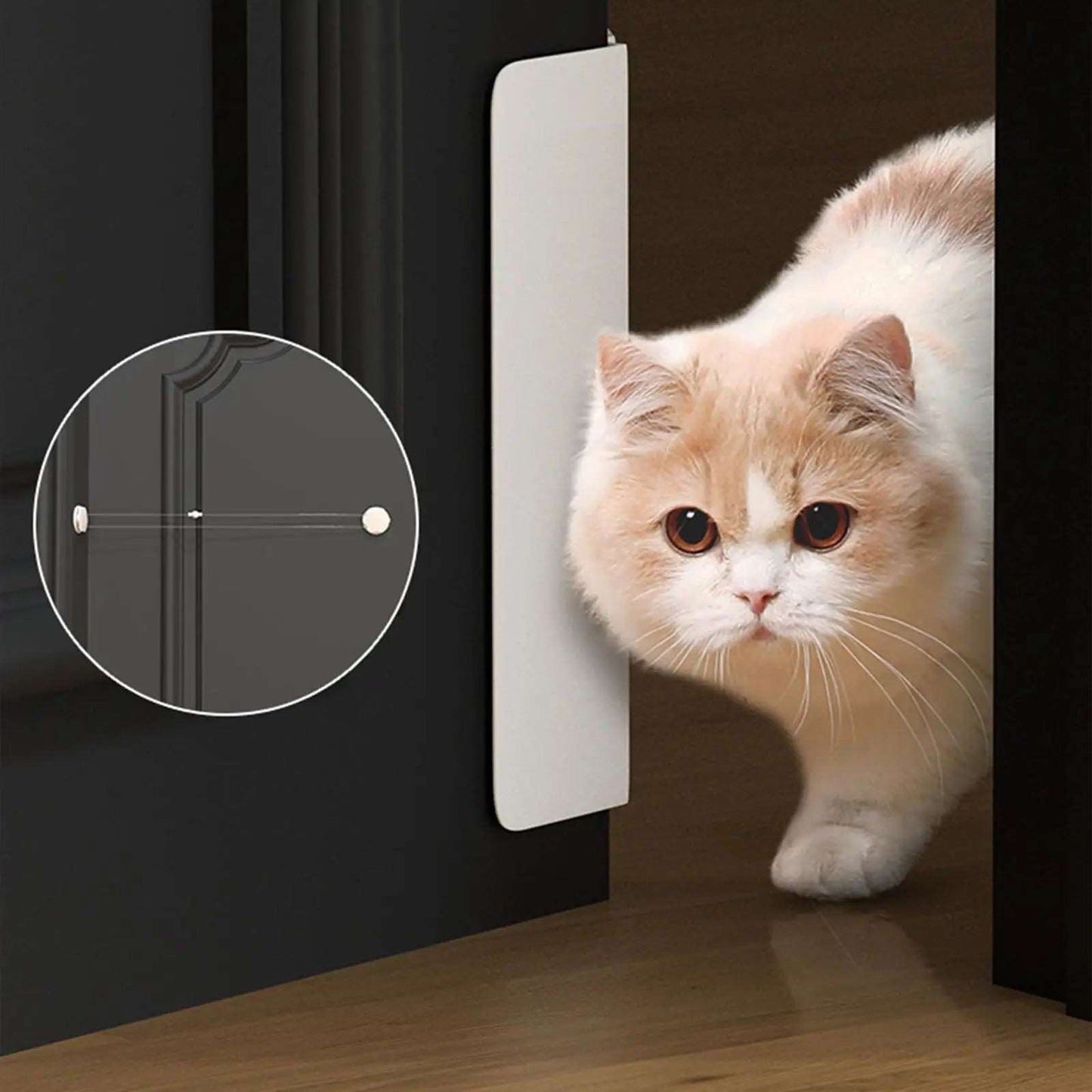 Automatic Pet Door Opener