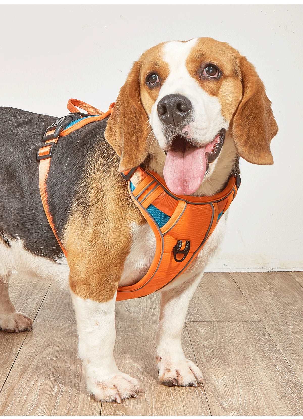 Outdoor Dog Harness