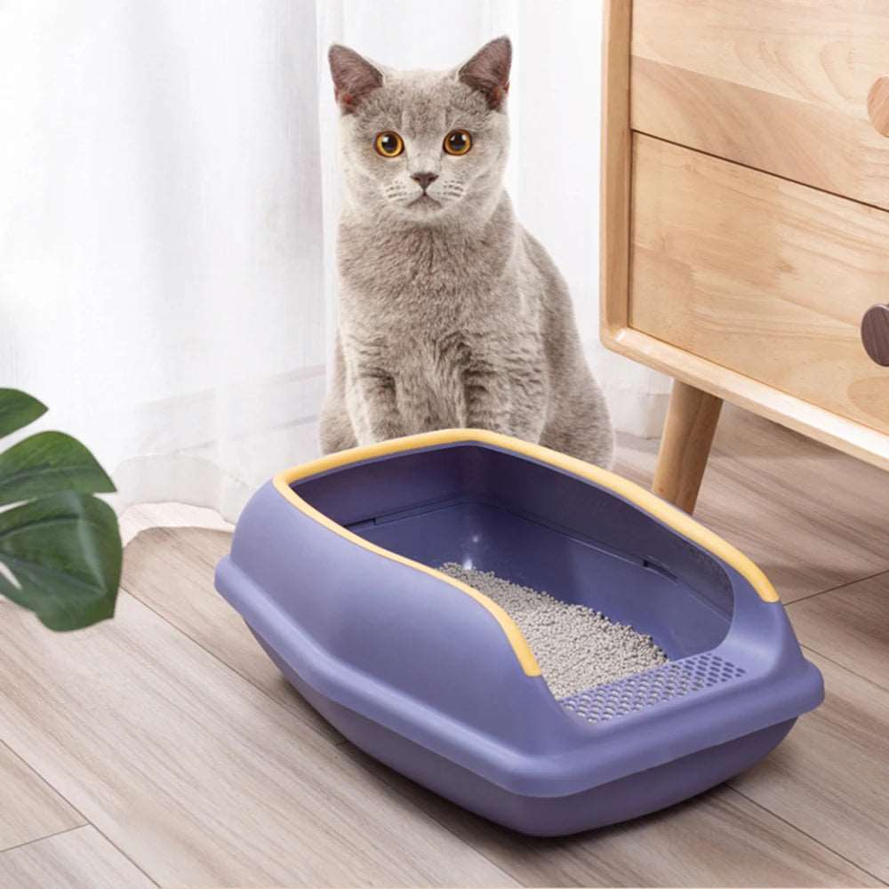 Cat Litters Plate