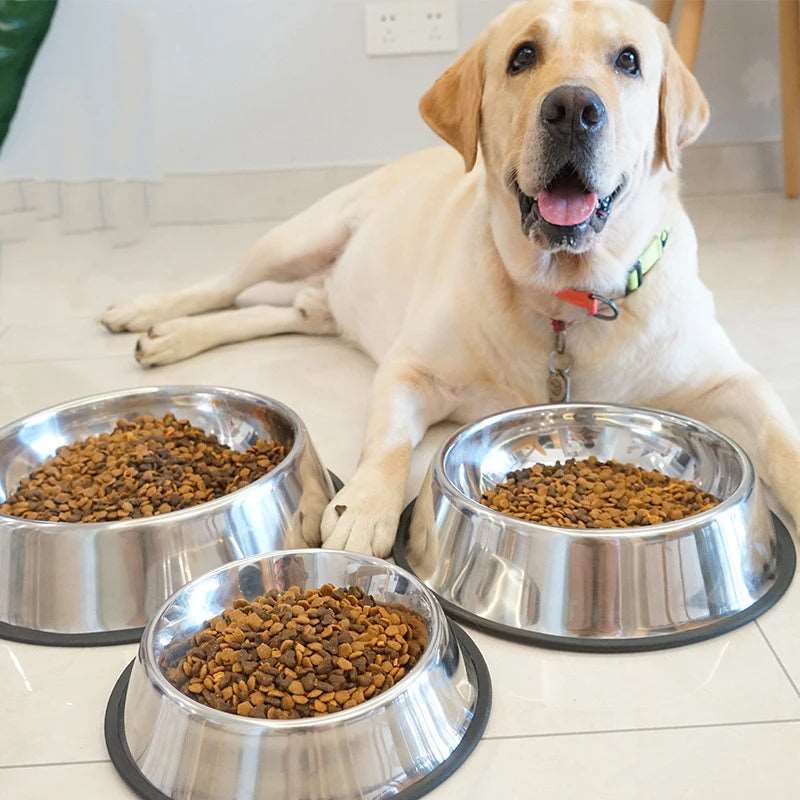 6 Size Pet Bowls Stainless Steel