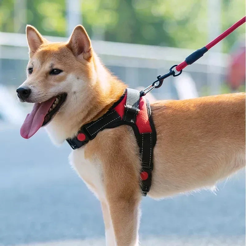 Pet Leashes Reflective