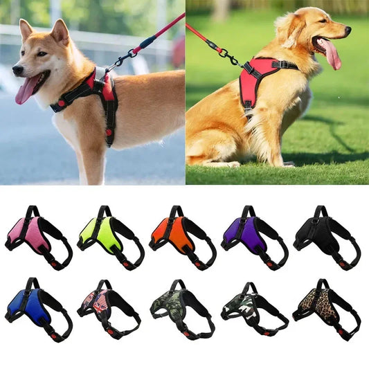 Pet Leashes Reflective