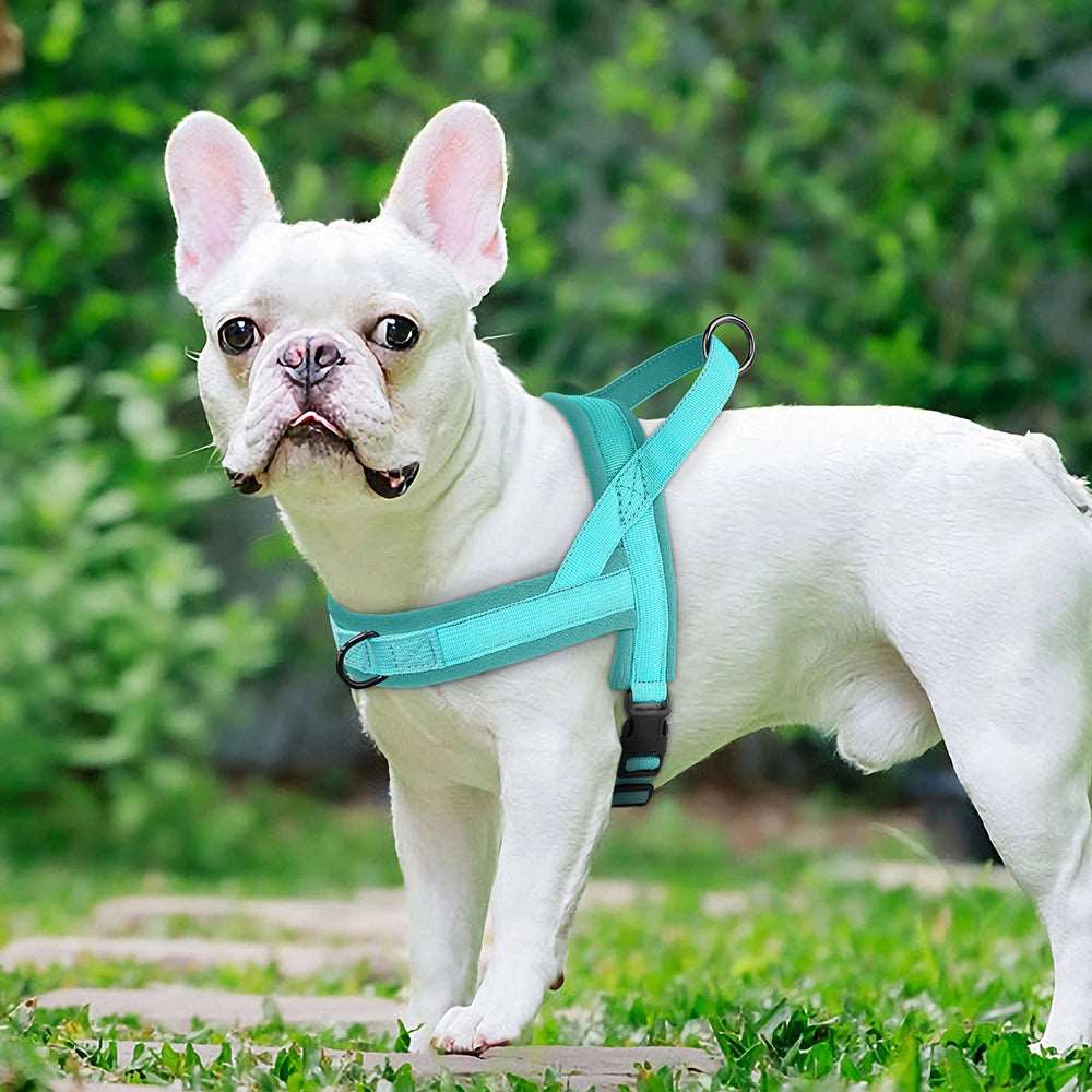 Padded Pet Walking Vests