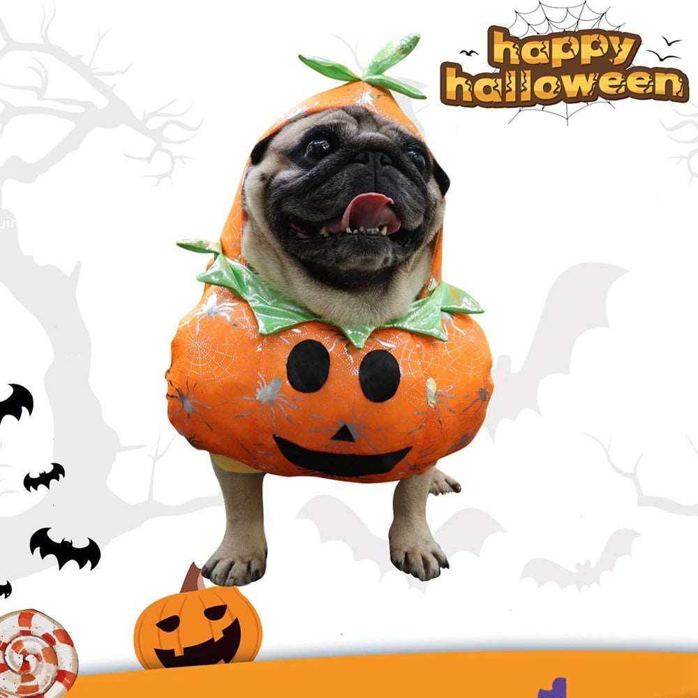 Funny Pet Pumpkin