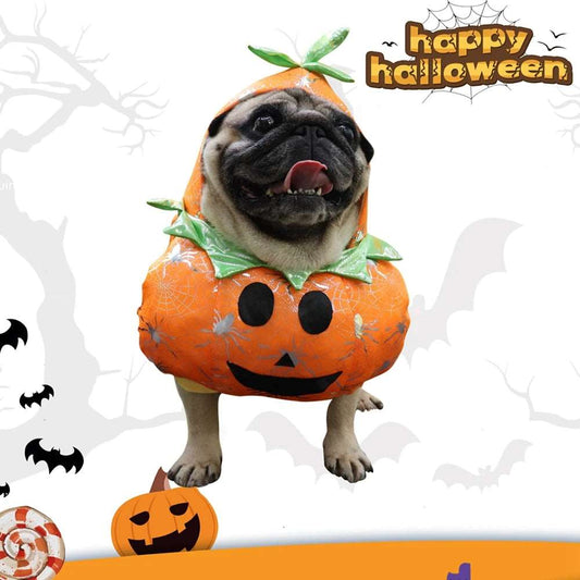 Funny Pet Pumpkin