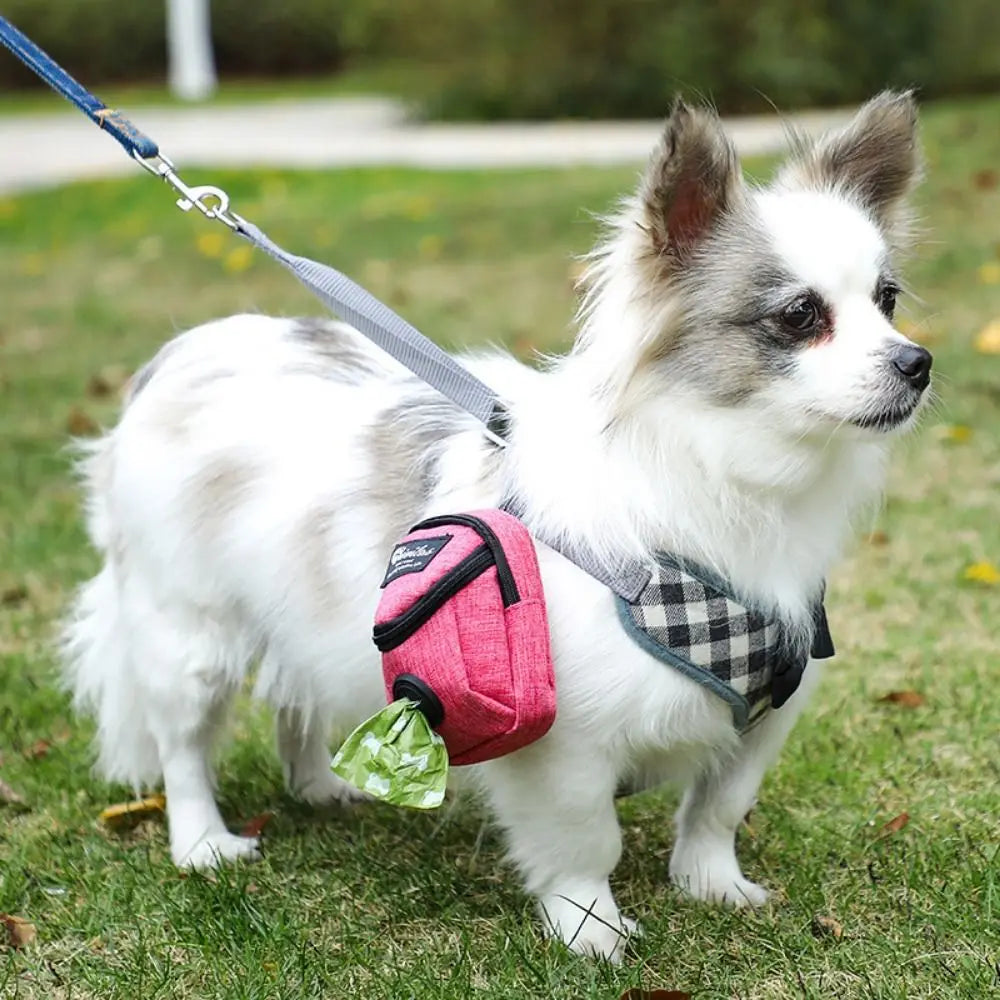 pet Poop & Snack Bag