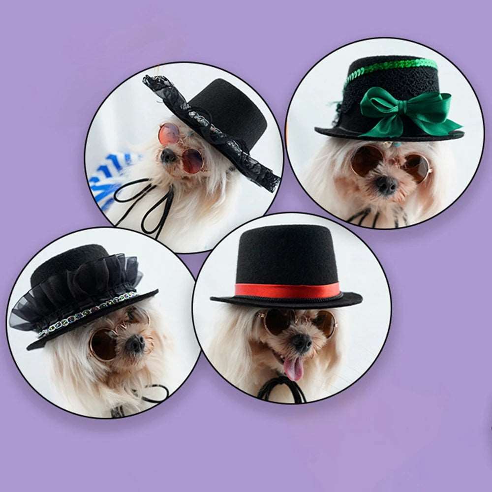 Fashion Pets Hat Halloween