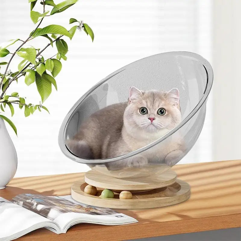 Small Cat Bed Transparent