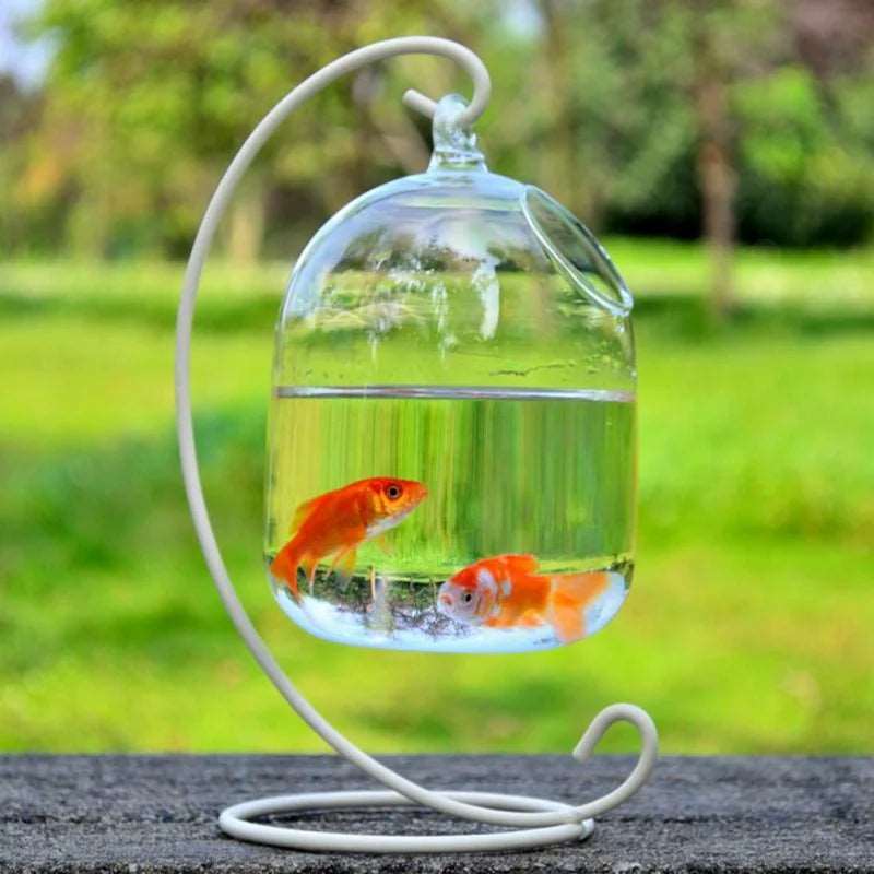 Hanging Fish Bowl Tank