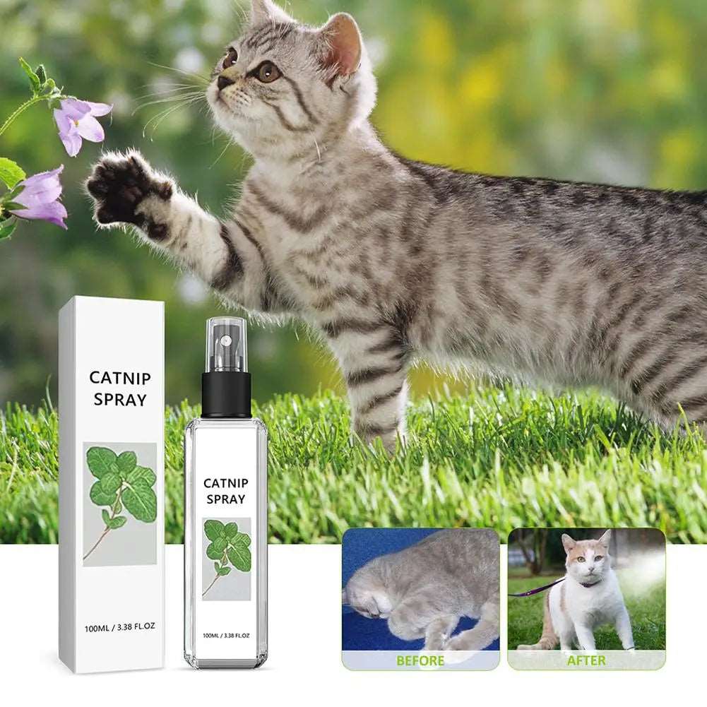 Herbal Cat Joy Spray