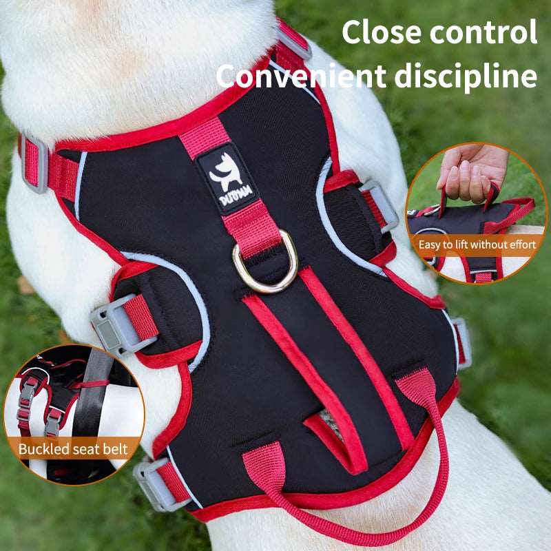 Husky Outdoor Walking Lead Leash