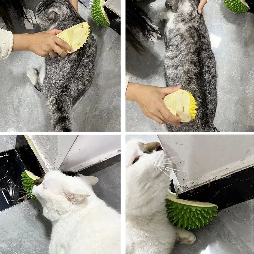 Scratching Pets Brush