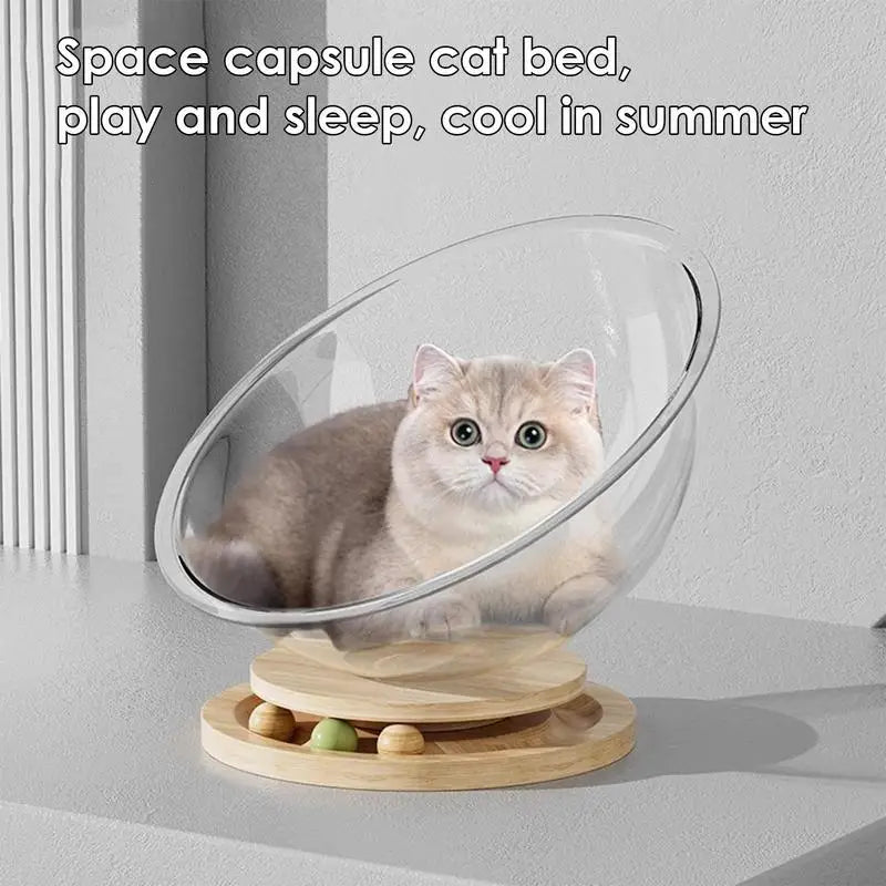 Small Cat Bed Transparent