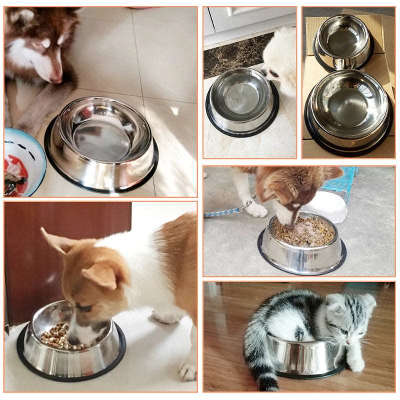 6 Size Pet Bowls Stainless Steel