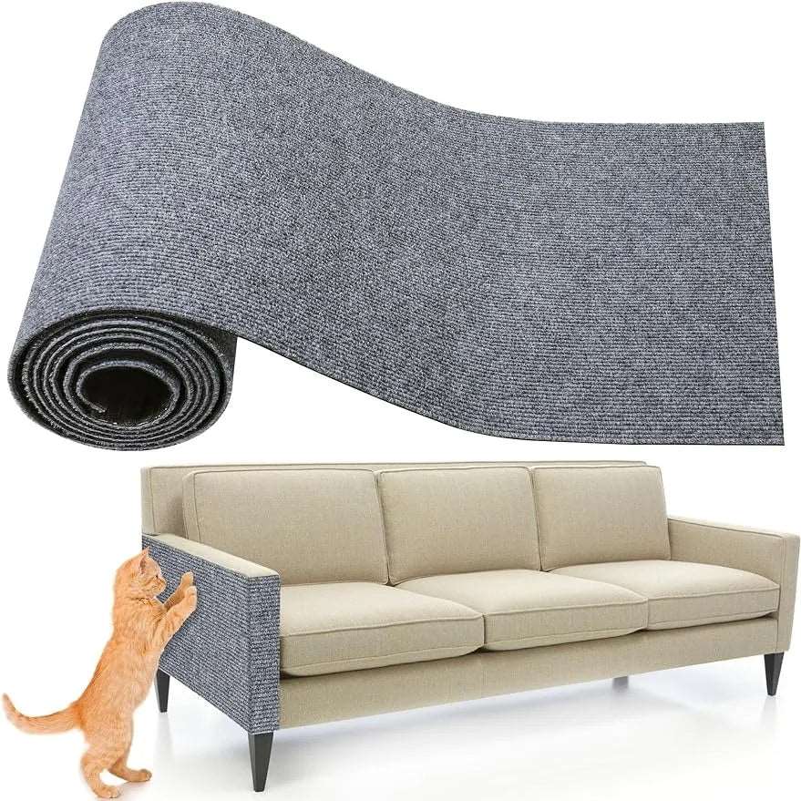 cats carpet