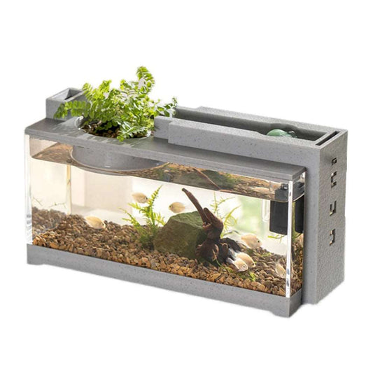 Creative Small Aquarium Fish Tank