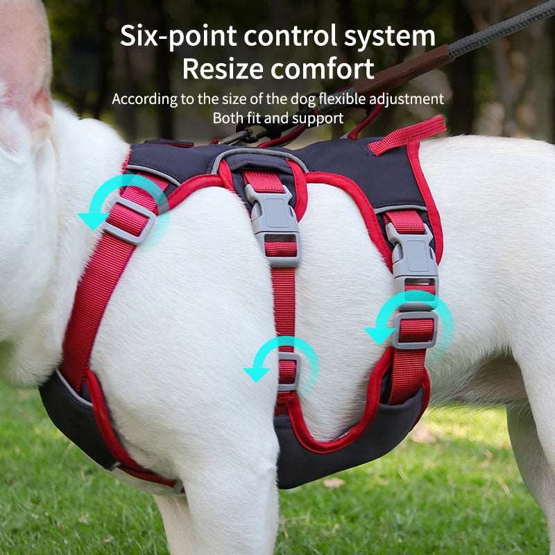 Husky Outdoor Walking Lead Leash