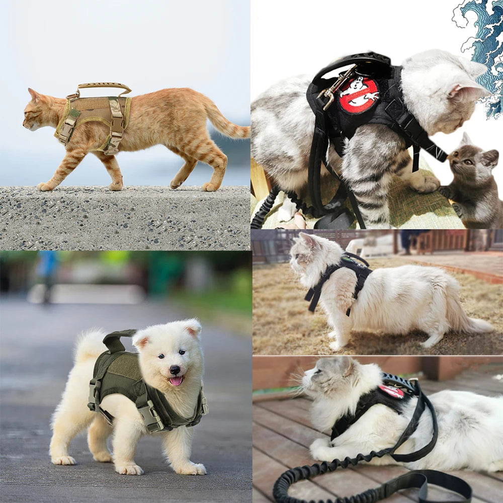 Tactical Puppy Harness